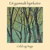 About Eit gammalt bjørketre Song