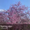 Spring sun