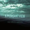 About A Pleasant View Song