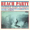 About Beach Party (All Summer Long) Song