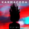 About Fly By Song