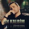 About Ah Kalbim Song