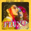 About Fluxo (Mulher do Futuro) Song