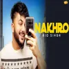 About Nakhro Song