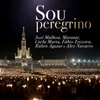 About Sou Peregrino Song