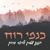 כנפי רוח