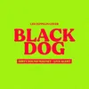 About Black Dog Song