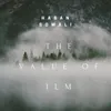 The Value of Ilm