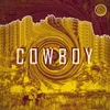 About Cowboy Song