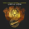 About Like a Lion Song