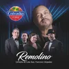About Remolino Song