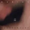 About Cacassoulet Song