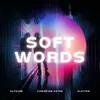 About Soft Words Song