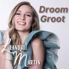 About Droom Groot Song