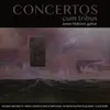 Guitar Concerto "Tener Tempestas": Peccatum tacituritatis