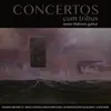 Concerto for Lute : Adagio-Vivace