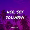 About Her Şey Yolunda Song