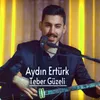 About Teber Güzeli Song