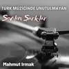 Yürü Dilber Yürü