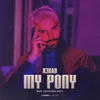 My Pony (Mark Shakedown Remix)