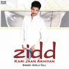 About Zidd Kari Jaan Akhiyan Song