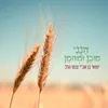 About הנני מוכן ומזומן Song