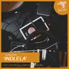 About Indlela Song