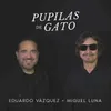 About Pupilas de Gato Song