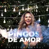 About Pingos de Amor Song