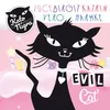 About Evil Cat Song