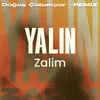 About Zalim Remix Song