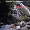 About Sleeping in the Jungle Song