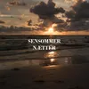 About SENSOMMER NÆTTER Song