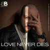 About Love Never Dies Song