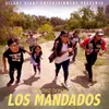 About Los Mandados Song