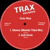 Silence (Melodic Tribal Mix)
