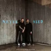 About Never Need Song