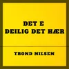 About Det e deilig det hær Song