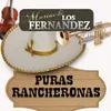 Canción a Vicente Fernández