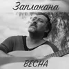 About Заплакана весна Song