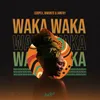 About Waka Waka Song