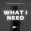 About What I Need Song