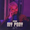 About My Pony (Lodato Remix) Song