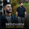 About Brîndarim Song