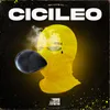 About Cicileo Song