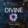 About Divine Flute Song