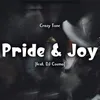 About Pride and Joy Song
