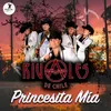 About Princesita Mía Song