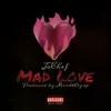 About Mad Love Song