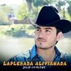 About La Plebada Alivianada Song